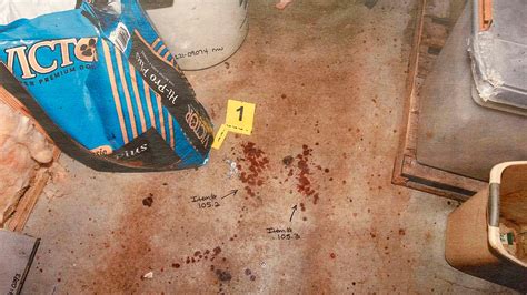 murdaugh murder crime scene pictures|Photo Gallery: See evidence photos from Alex。